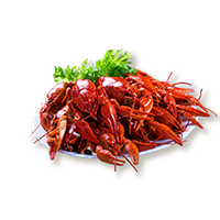 稻油虾种养殖